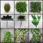 SJH010535 artificial green wall artificial moss carpet artificial moss for decoration
