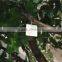Home garden deco 50cm to 400 cm hight artificial white large Chinese wistaria EDHS1501 1607