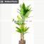 Indoor home decorative artificial bonsai tree for sale and for hotel and house landscape