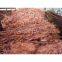 copper wire scraps and mill berry wire 99.99%