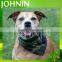 High Quality Fast Delivery Custom Design Promotional Dog Bandana
