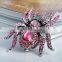 Fashion New Arrival Punk Style Rhinestone Spider Alloy Finger Ring