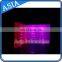 The Leading Market For LED Lighting Advertisement Inflatable Wall Display
