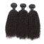 Bouncy And Soft Russian? Brazilian Tangle Free 12 Inch Malaysian Virgin Hair Loose Weave