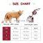 Fashion British style pet supplies cat chest back traction rope set
