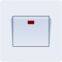 Big panel 45A DP Switch