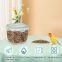 Pet Food Microwave-dried Mealworms