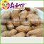 Roasted peanuts with shell