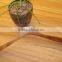 hot sale wooden hanger with clips & wooden hanger