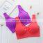 Women Hot Sale Crop Top Seamless Bra Underwear With Padded Cup