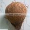 Natural Indian coconut