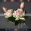 pink decoration flowers single roses