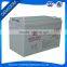 Wholesale 12V 100Ah Rechargeable Battery for Solar Garden Lighting