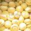 Canned Mushrooms in Glass Jar Branded Canned Food Products