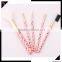 5 pcs personalized makeup brush set