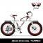 Fat bike aluminum 20inch fat tire bike