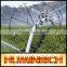 FAQ 12--Application Of Drip Irrigation Technique