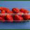 Plastic tray for food packaging