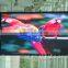 rental use full color outdoor p16 led display xxx sex vedio
