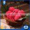Softextile cheap custom shape gift cap rose cake towel cake gift sets