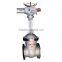 Solenoid Gate Valve