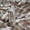 Roasted Salted White Sunflower Seeds