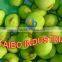 High output commercial and industial Kiwi fruit peeling machine