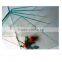 clear sheet glass photo frame glass 3mm