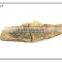 magent marine life fossil wall decor 3d rock effect wall decoration