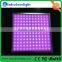 Shenzhen supplier trade assurance rgbw led panel light 60x60