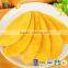 TTN mango fruit price mango export dried mango