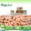 health vegetable canned white kidney beans