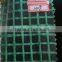 Transparent with green net inside PE tarpaulin roll for Germany market