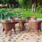 new promotional model patio PE rattan wicker dining set