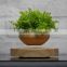 new arival levitation plant pots
