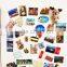 Creative fridge magnet,educated 3D fridge magnet