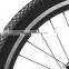 Environmental Friendly Two With Magnesium Wheels E-Bike Double Motor