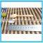 Plastic Spoon ,Plastic Powder Scoops And Plastic Spoon ,Kitchen Small Spoon