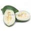 Green Papaya Exporters