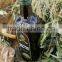 Cold Pressed Extra Virgin Olive Oil. A'Quality Extra Virgin. 100% Extra Virgin Olive Oil. Marasca Glass Bottle 750 ml