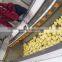 Brush type Potato washing machine Vegetable washing machine for sale