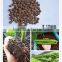 Factory Price Hydroponics Expanded Clay Aggregate 8-16mm For Sale