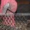 High quality Q345 Thermostable hexsteel /hexsteel grating for refractory lining(factory )