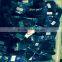 polyster cheap bird mist nets for catching animals and birds