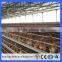 Guangzhou Hot selling A Type automatic poultry farm cage for layer/hen/egg chicken in Algeria (Guangzhou Factory)