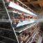 California Cages For Chickens A Type 120 Birds Caapcity