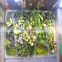 2017 Hot sale manufacturer plastic green wall panels for outdoor or indoor