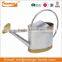 colored garden metal watering can for plant with hand