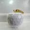 Glazed Apple Fruit Ornament for DecorationGH141Z443L-GWGH141Z443L-GW