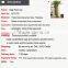 Artificial large tree artificial coconut palm tree artificial decorative palm tree